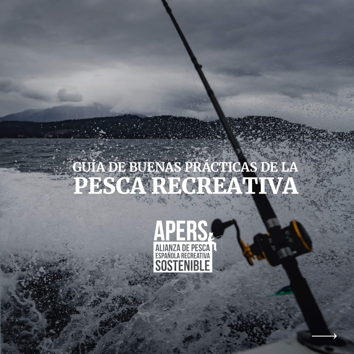 Guía de las buenas prácticas de la pesca recreativa